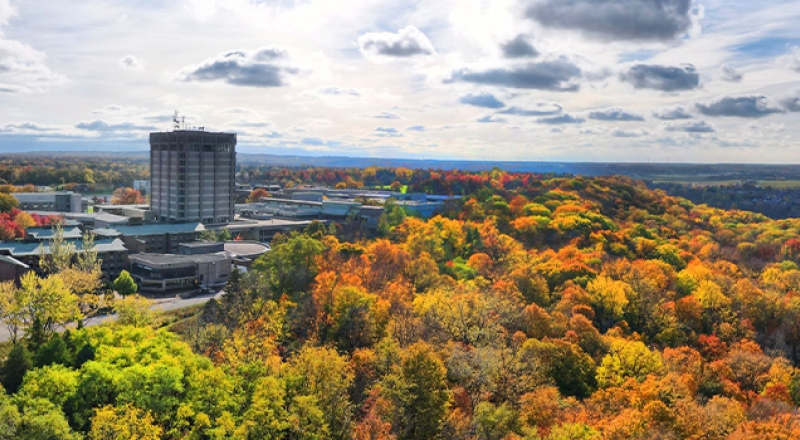 Brock University